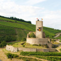 Château du Wineck