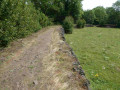 Balade à la découverte de "cheirilles" le long de la Couze Pavin