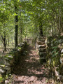 Chemin à l'ombre entre murs