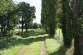 Chemin à la sortie de St Vincent la Châtre