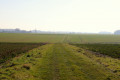 Chemin à travers champs près de l'étang du Plessis