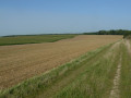 Chemin à travers champs