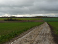 Chemin à travers champs