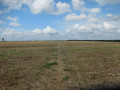 Chemin &agrave; travers champs