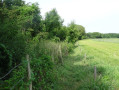 chemin après Cléry en Vexin