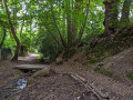 Chemin au fond du vallon de saint Buc