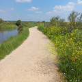 Chemin balisé