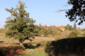 De chapelle en clocher du côté de Dunet