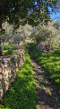 Le Barrocal, Chemin des Fontaines et de la Source