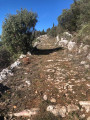 Chemin caladé d'accès à la chapelle de Saint Pancrace