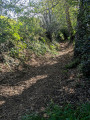 Chemin creux au Nord du circuit.