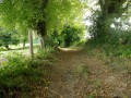 Chemin creux de Fontvieille