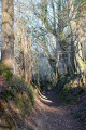 chemin creux près de Lignac