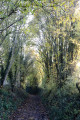 Chemin creux près du Grand Villiers