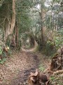 Par les chemins creux autour de Locronan