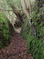Boucle autour du bourg de Langolen