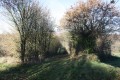 Chemin d'exploitation descendant au ruisseau de la Fontaine du Bignon