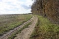 En lisière de bois sur le coteau