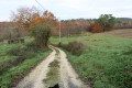 Chemin d'exploitation vers Pierouy