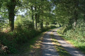 Chemin dans le bocage