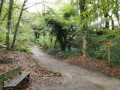 Chemin dans le bois de Keroual