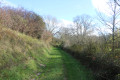 Chemin dans le fond de vallon