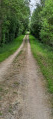 Chemin dans le marais