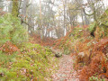 Chemin dans le Rocher de Bouligny