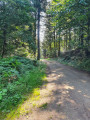 Le chemin de la Boriette à Bournazel