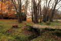 chemin de la clairière du dolmen