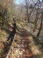 Chemin de la fontaine