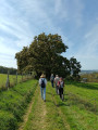 Chemin de la Serre