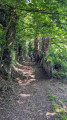 Allées couvertes de Liscuis et Gorges du Daoulas