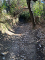 Chemin de Toscane.