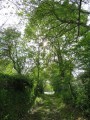 Chemin débouchant sur la Creuse