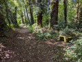 chemin du Bois du Breuil