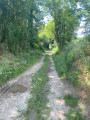 chemin du larris