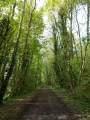 Promenade autour de la Ville d'Eu