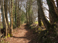 Chemin du peu d'Auriat