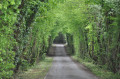 Chemin du Pont des Roches