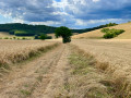 Boucle du Chemin d'Ambroise