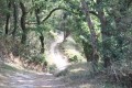 Chemin du tour du lac du Jaunay (rive gauche)