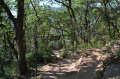 chemin en sous bois