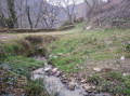 chemin enherbé et son vieux pont