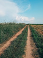 Sentier d'Autruche