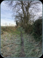 Chemin entre les terres agricoles.