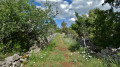 chemin entre murets de pierres sèches