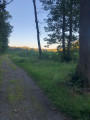 Chemin Forestier du tracé