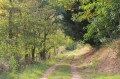 Chemin forestier entre le Heyriseck et La Vancelle