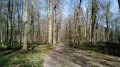 Boucles de Feucherolles et de l'Ouest de la Forêt de Marly